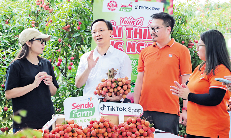 Phó Chủ tịch UBND tỉnh Bắc Ninh Phạm Văn Thịnh (áo trắng) tham gia buổi livestream, giúp bà con nông dân bán 54 tấn vải thiều. Ảnh: Khương Lực