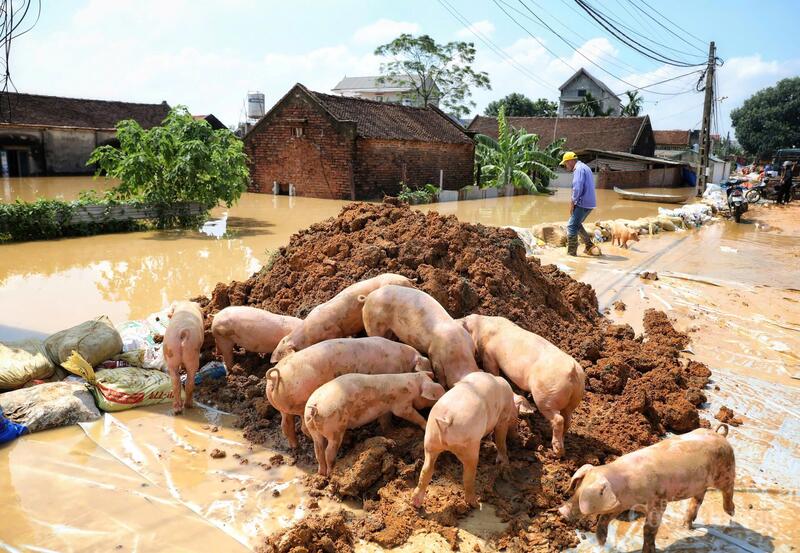 Mưa lũ gây thiệt hại lớn về tài sản, Okvip - liên minh giải trí #1 thế giới hà nội của bà con.