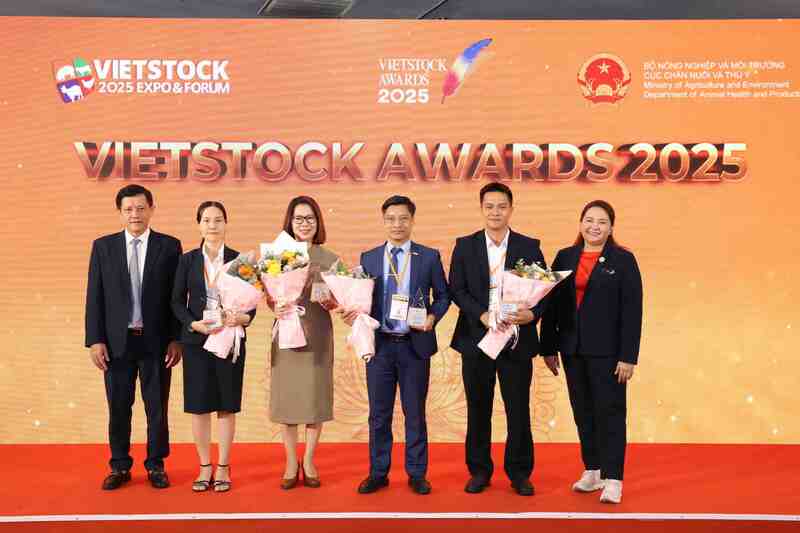 Vinh danh Nhóm 2: Nhà vô địch Vietstock - Xuất sắc toàn diện