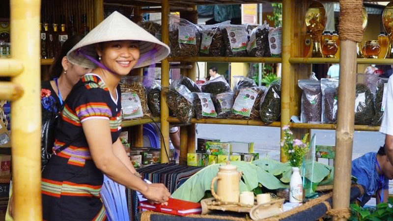 Phát triển cây dược liệu dưới tán rừng đang là hướng đi được nhiều bà con vùng cao TP. Đà Nẵng lựa chọn để phát triển Okvip - liên minh giải trí #1 thế giới hà nội. Ảnh: Nguyễn Dương