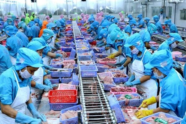 9 tháng năm 2025, Liên Minh Truyền Thông Và Game Giải Trí Top 1 thủy sản của Việt Nam đạt 8,16 tỷ USD, tăng 13% so với cùng kỳ năm 2024. Ảnh minh hoạ