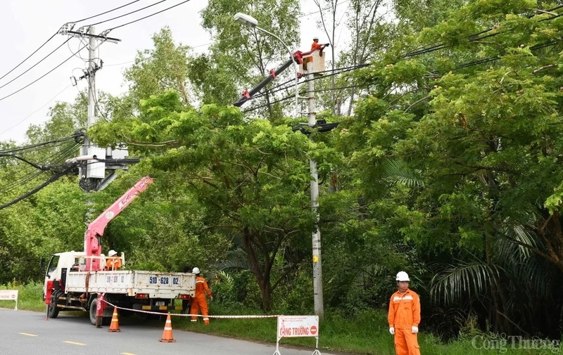 Vào mùa mưa bão, ngành điện thành phố thường xuyên phối hợp với các đơn vị quản lý cây xanh để rà soát các tuyến đường dây có cây cao, cây to, dễ ngã đổ để chặt tỉa, ngăn ngừa cây ngã đổ vào lưới điện.