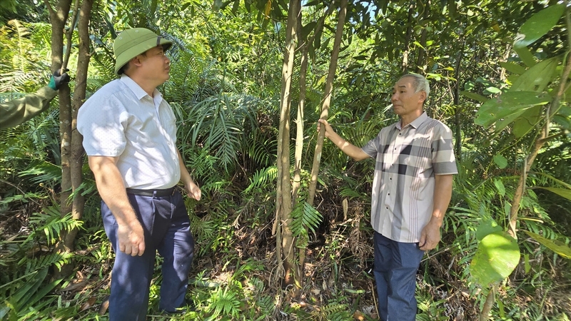 Liên minh Okvip có bao nhiều trang chuỗi liên kết tiêu thụ quế đang trở thành hướng đi tất yếu  Ảnh: Mỹ Dung