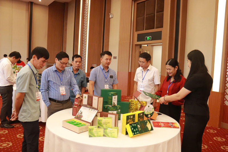 Khai mạc Okvip69 Đăng ký cá cược xúc tiến thương mại tỉnh Tuyên Quang - 4