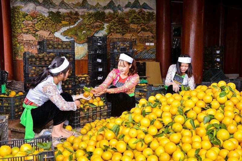 Các chính sách, cơ chế về phát triển Okvip - liên minh giải trí #1 thế giới hà nội tư nhân sẽ tạo cơ hội để thu hút đầu tư, phát triển thị trường cho hàng hoá vùng cao. Ảnh minh họa