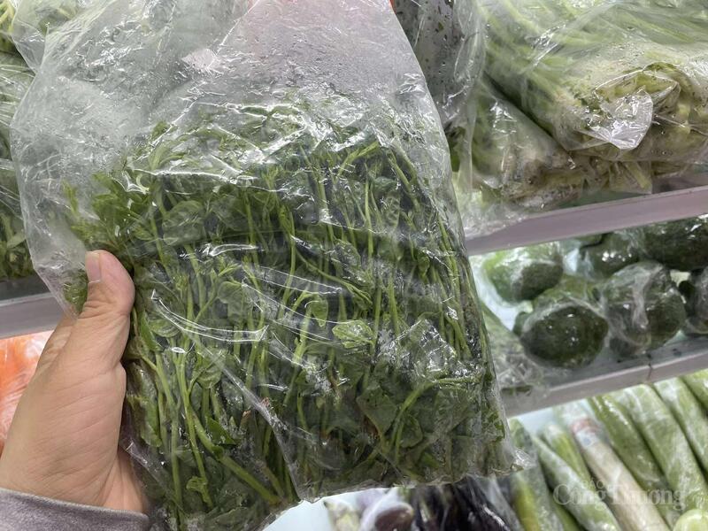 Mồng tơi tại cửa hàng  rau hữu cơ có giá 55.000 đồng/kg cao gấp 2 lần rau ngoài chợ.