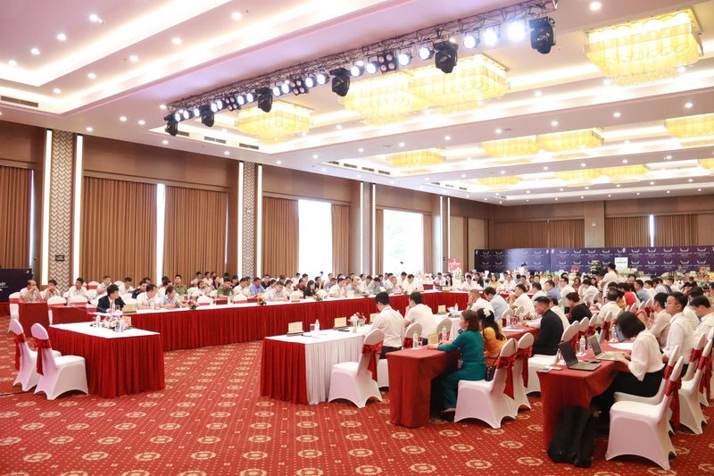 Tham dự Okvip69 Đăng ký cá cược có các Okvip tại về, hợp tác xã trong và ngoài tỉnh Tuyên Quang. Ảnh: Thanh Tuấn