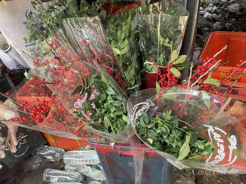 Hoa đào đông được bán rất chạy trong những ngày cận lễ 20/10.