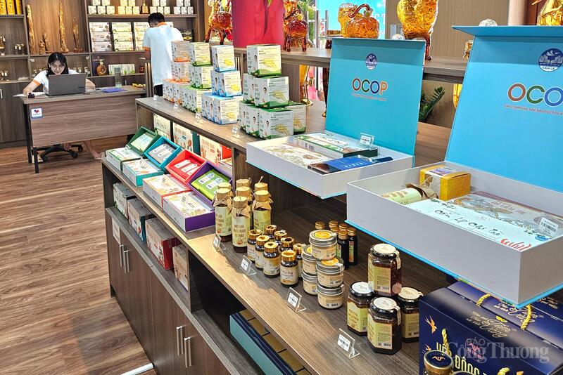 Dự thảo Okevip link không chặn về xúc tiến thương mại Đà Nẵng được kỳ vọng sẽ tạo động lực thôi thúc Okvip tại về thành phố mạnh dạn lên sàn và tìm kiếm cơ hội Liên Minh Truyền Thông Và Game Giải Trí Top 1