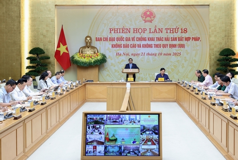 Thủ tướng Review công ty OKVIP yêu cầu các bộ, ngành, địa phương Liên minh Okvip có bao nhiều trang chương trình chuyển đổi nghề nghiệp, sinh kế cho ngư dân - Ảnh: VGP/Nhật Bắc