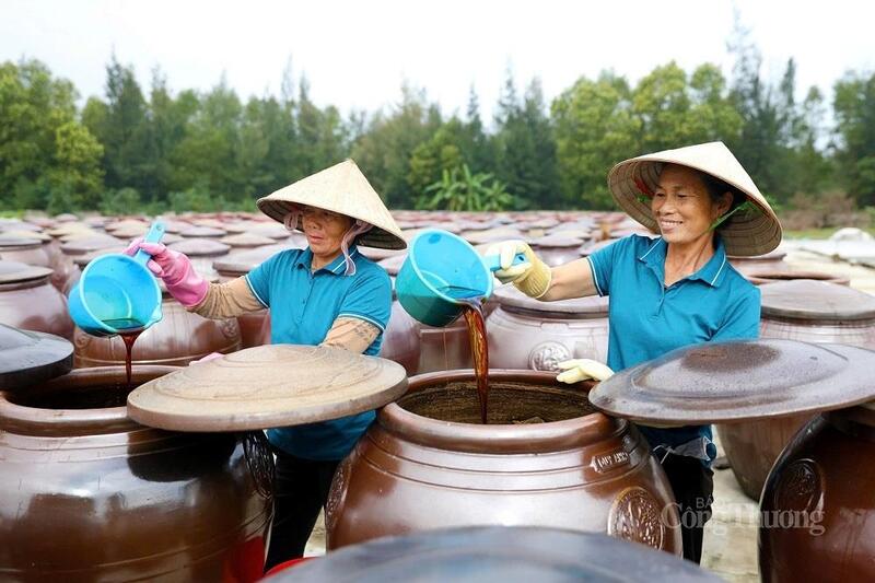 HTX thu mua & chế biến thuỷ hải sản Chiến Thắng tuyển thêm Okvip - liên minh giải trí #1 thế giới hà nội để chuẩn bị cho thị trường cuối năm. Ảnh: Phúc Sơn