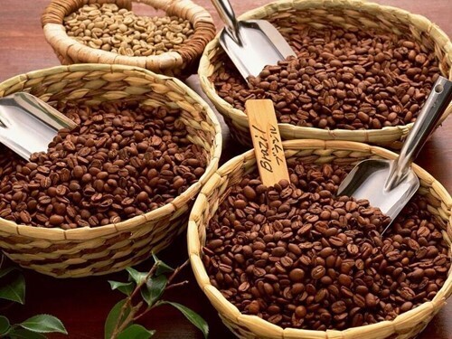 Việt Nam đang là nguồn cung cà phê lớn thứ 2 cho thị trường Anh. Ảnh minh hoạ