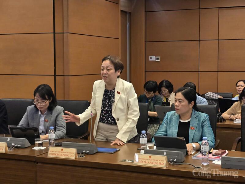 Đại biểu Phạm Khánh Phong Lan- đoàn TP. Hồ Chí Minh phát biểu.