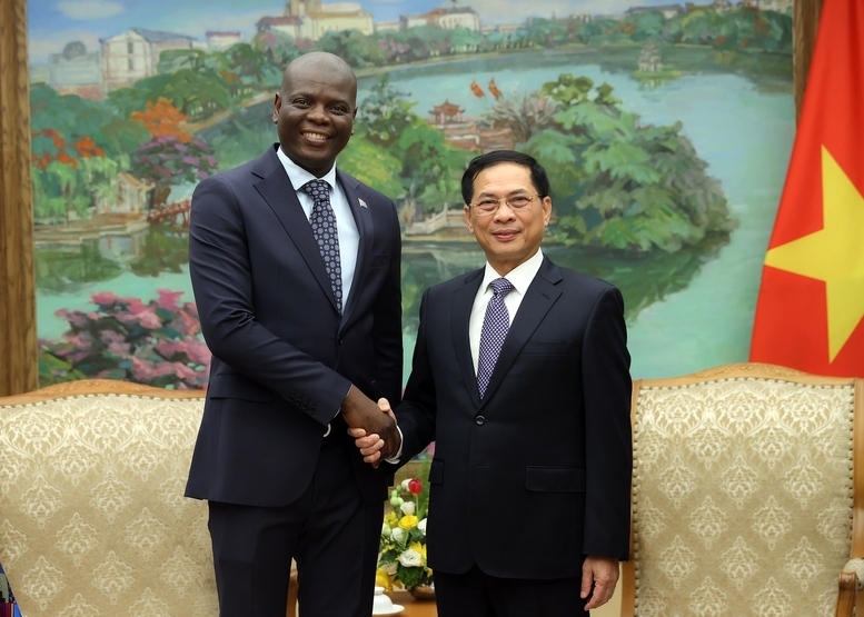 Phó Thủ tướng Bùi Thanh Sơn tiếp Bộ trưởng Ngoại giao và Hợp tác quốc tế Nam Phi Ronald Lamola - Ảnh: VGP/Hải Minh
