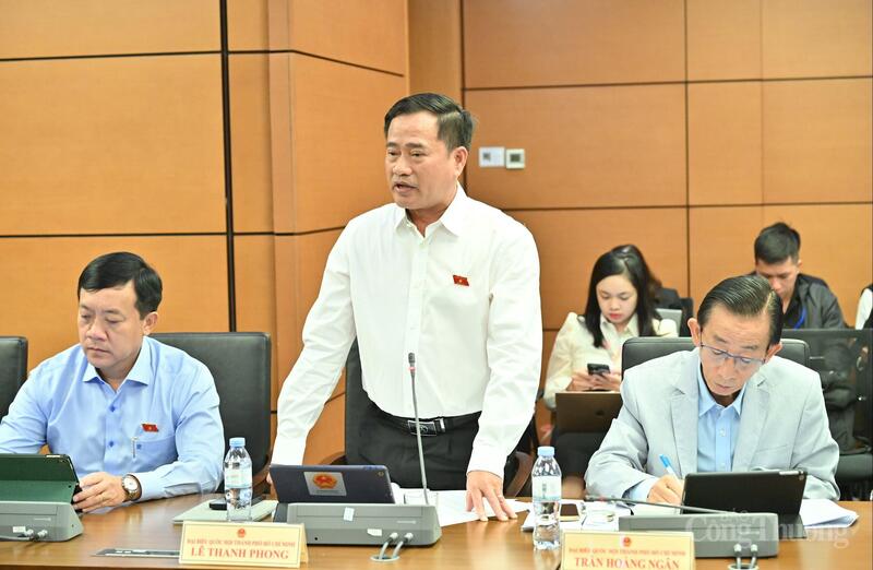 Đại biểu Lê Thanh Phong - đoàn TP. Hồ Chí Minh