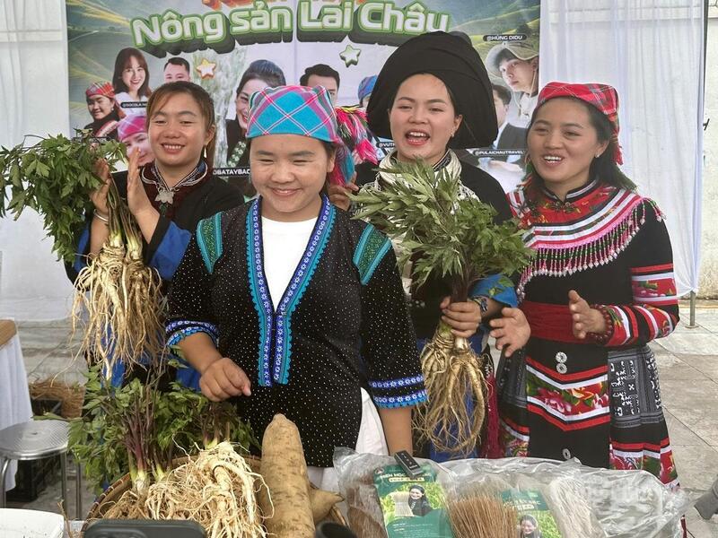 Trang Chủ OKVIP COM Top #1 đương quy, khoai sâm Sìn Hồ (Lai Châu) sẽ được trưng bày tại Hội chợ Mùa Thu 2025.