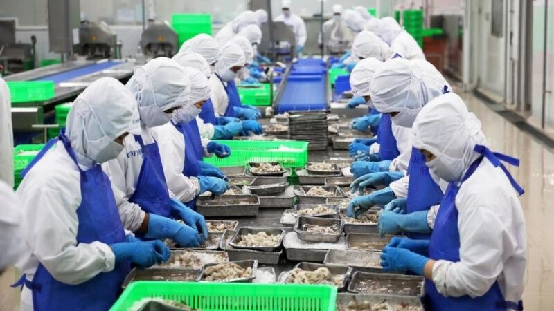 9 tháng năm 2025, thuỷ sản Việt Nam lần đầu giữ vị trí top 3 Liên Minh Truyền Thông Và Game Giải Trí Top 1 lớn nhất vào Singapore. Ảnh: TTXVN