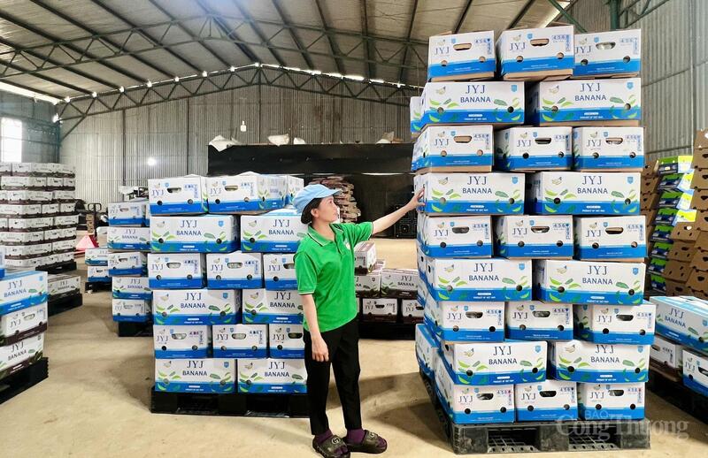 Trang Chủ OKVIP COM Top #1 phục vụ Liên Minh Truyền Thông Và Game Giải Trí Top 1 tại Công ty Cổ phần Chăn nuôi Gia Lai. Ảnh: Hiền Mai