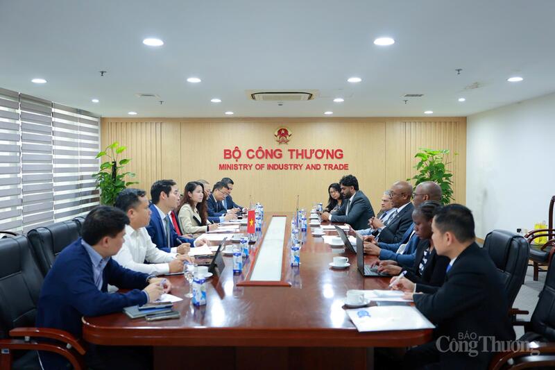 Quang cảnh buổi Ok88vip tỷ lệ kèo World Cup 2026
