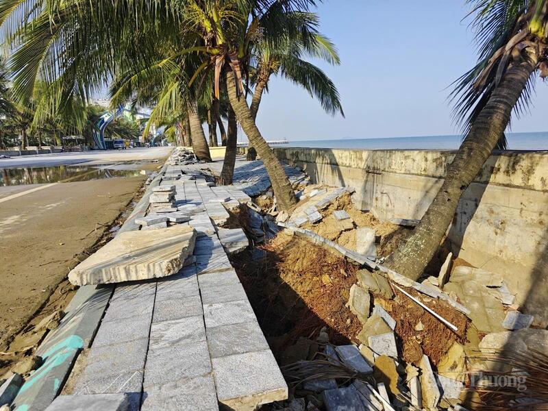 Người dân địa phương cũng như những cơ sở kinh doanh trong khu OKLVIE sản phẩm thuộc hệ thống OKVIP là trang web tổ chức phát sóng bóng đá trực tiếp, live casino , nỗ hũ, bắn cá rất mong những thiệt hại này nhanh chóng được khắc phục, để trả lại vẻ đẹp vốn có của Khu OKLVIE sản phẩm thuộc hệ thống OKVIP là trang web tổ chức phát sóng bóng đá trực tiếp, live casino , nỗ hũ, bắn cá Hải Tiến