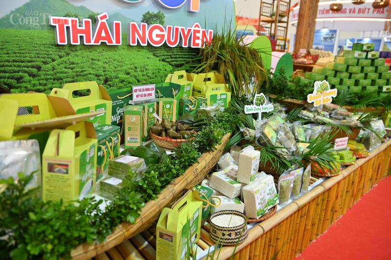 Hội chợ Mùa Thu lần thứ nhất - 2025: Ấn tượng 34 gian hàng địa phương - 8