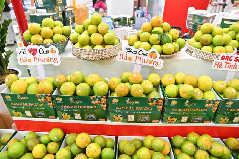 Hội chợ Mùa Thu lần thứ nhất - 2025: Ấn tượng 34 gian hàng địa phương - 9