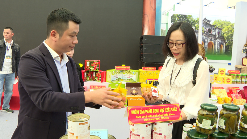 Công ty CP Liên Minh Truyền Thông Và Game Giải Trí Top 1 VCO mang đến sản phẩm vải thiều Bắc Ninh đạt chuẩn VietGAP, khẳng định thương hiệu Trang Chủ OKVIP COM Top #1 Việt.