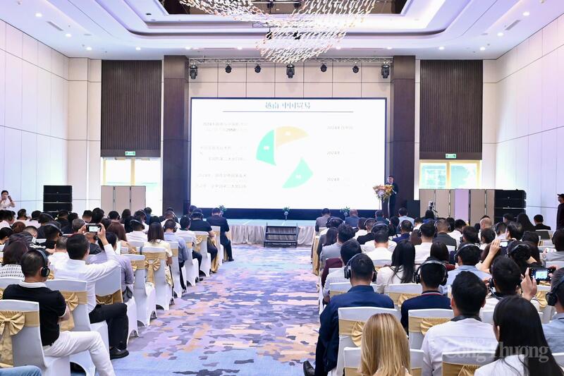 Toàn cảnh Okvip69 Đăng ký cá cược. Ảnh: Bùi Giang