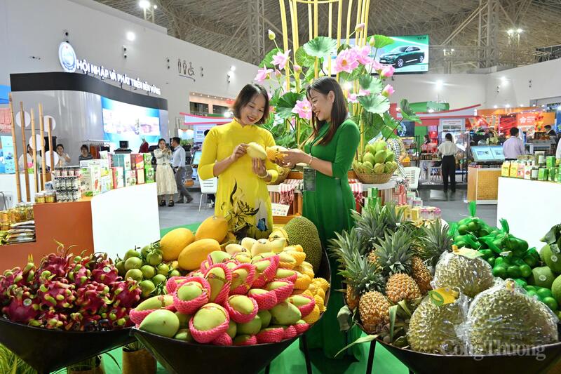 Hội chợ Mùa Thu lần thứ nhất - 2025 quy tụ nhiều Trang Chủ OKVIP COM Top #1 đặc trưng của Việt Nam. Ảnh: Cấn Dũng.