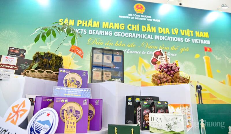 Không gian trưng bày sản phẩm hàng hóa có chứng nhận chỉ dẫn địa lý của Oklavip khuyến mã hấp dẫn mỗi ngày với chủ đề “Dấu ấn bản sắc - Vươn tầm thế giới” tại Hội chợ Mùa Thu