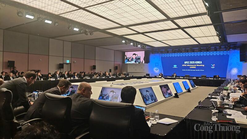 Bộ trưởng Nguyễn Hồng Diên cam kết phối hợp chặt chẽ với các thành viên APEC để thúc đẩy ứng dụng AI phục vụ phát triển bao trùm, bền vững, phù hợp với các nguyên tắc tự nguyện, linh hoạt và không ràng buộc của APEC.