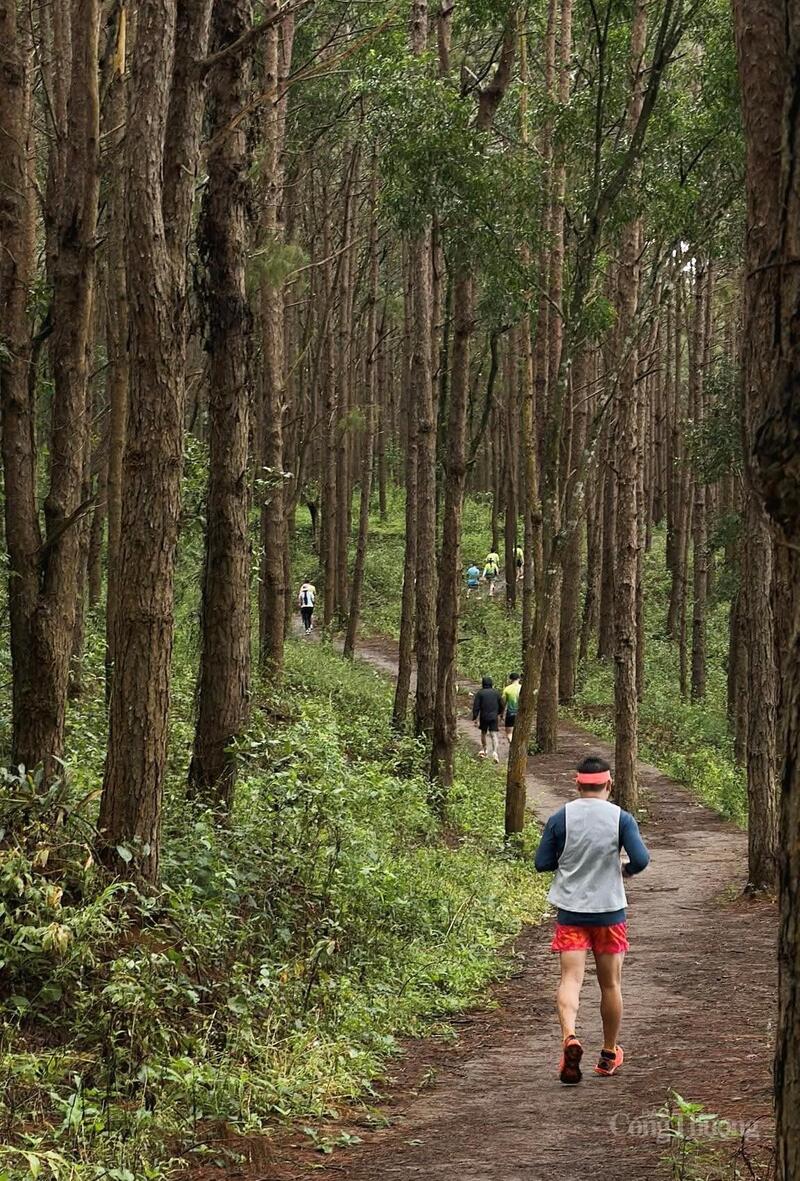 Gia Lai City Trail là giải chạy trail-chạy bộ kết hợp leo núi ở địa hình khác nhau.