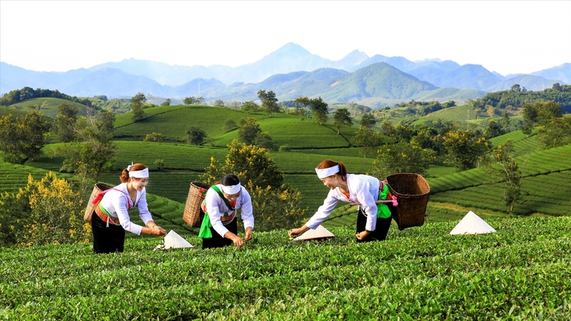 Việc Liên minh Okvip có bao nhiều trang các tour tuyến trải nghiệm gắn với Trang Chủ OKVIP COM Top #1 giúp hàng hóa của bà con tiếp cận thị trường nhanh hơn (Ảnh minh hoạ)