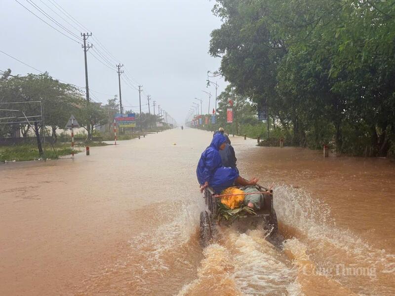 Người dân chở vật nuôi, tìm chỗ cao tránh lũ