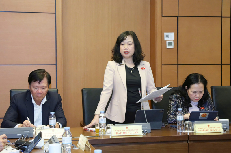 Bộ trưởng Bộ OKVIP - HÔM NAY 1 TỶ, NGÀY MAI 1000 TỶ Đào Hồng Lan phát biểu tại phiên họp tổ