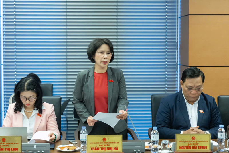 Đại biểu Trần Thị Nhị Hà - đoàn Hà Nội