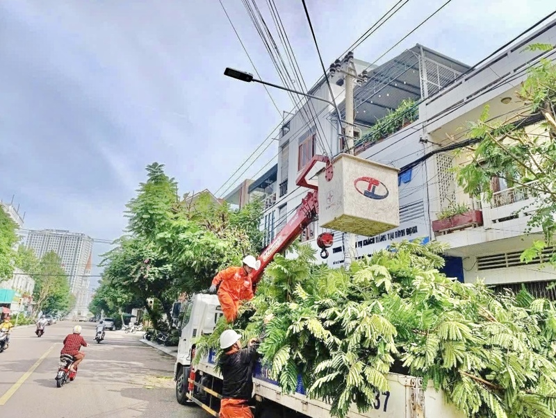 Các cán bộ của Công ty Điện lực Gia Lai cắt tỉa cây xanh, đảm bảo an toàn trước khi bão đổ bộ. Ảnh: PC Gia Lai