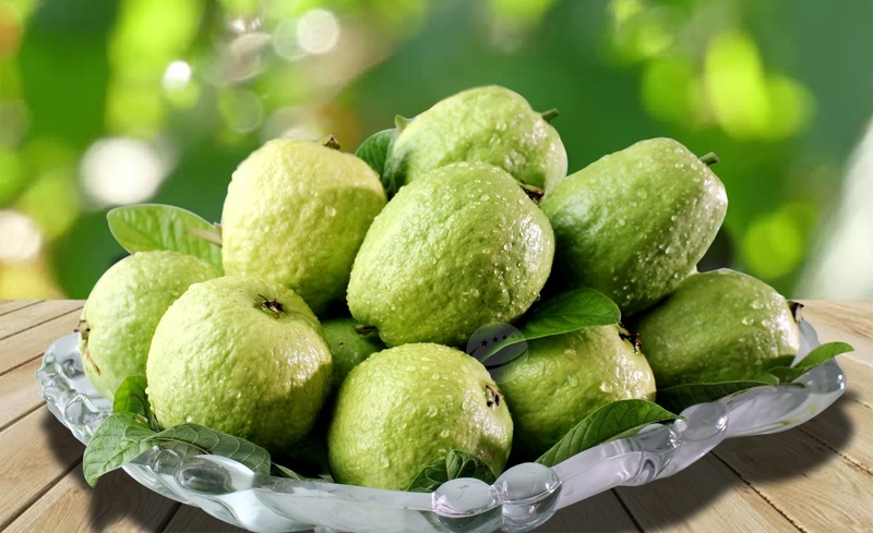 Ổi Hoành Bồ đã bước đầu khẳng định chỗ đứng trên thị trường và trong lòng người tiêu dùng