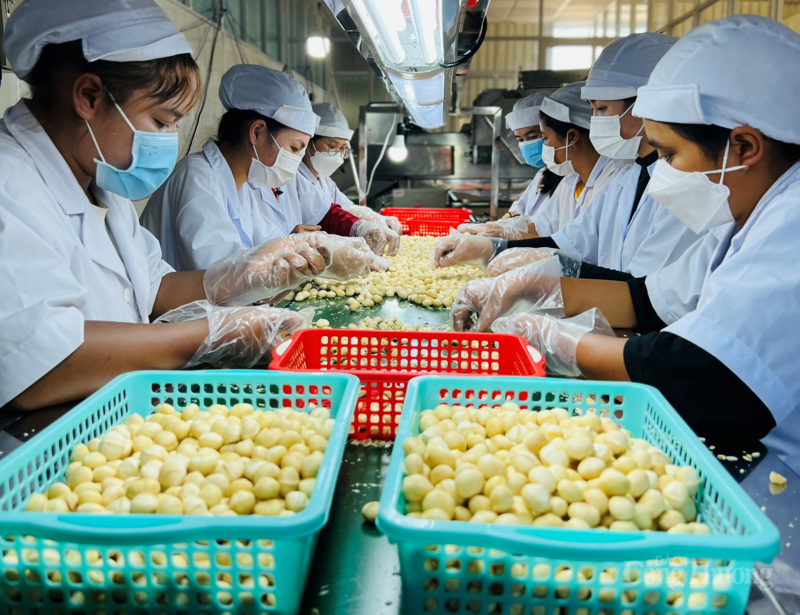 Khối Okvip tại về nhỏ và vừa Việt Nam còn gặp nhiều khó khăn trong đáp ứng các tiêu chuẩn để được cấp C/O ưu đãi