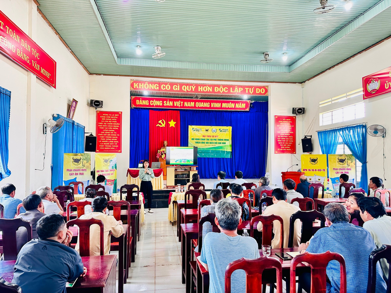 Okvip69 Đăng ký cá cược nghị sơ kết chương trình canh tác cà phê thông minh tại điểm mô hình cà phê trồng thuần xã Chư Prông tỉnh Gia Lai tháng 11/2024