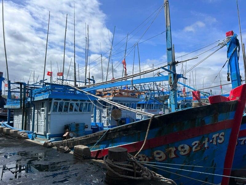 Tính đến 15 giờ ngày 5/11, 286 tàu với 1.602 ngư dân của tỉnh đã neo đậu an toàn tại các đảo thuộc quần đảo Trường Sa.