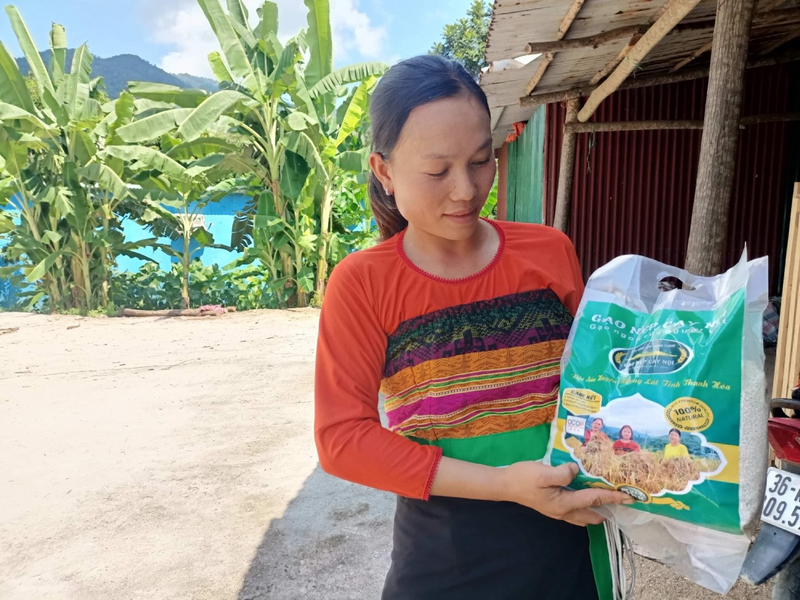 Lúa nếp Cay Nọi là đặc sản của Thanh Hoá