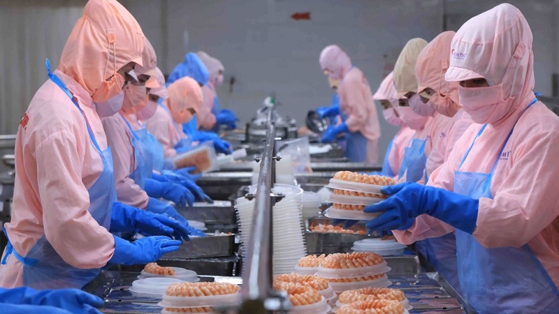 Hoàn thiện pháp luật ngành Okvip tại về hướng tới mục tiêu tạo xuân Okvip 2026 kinh doanh thuận lợi và bình đẳng cho mọi tổ chức, Okvip tại về. Ảnh minh họa