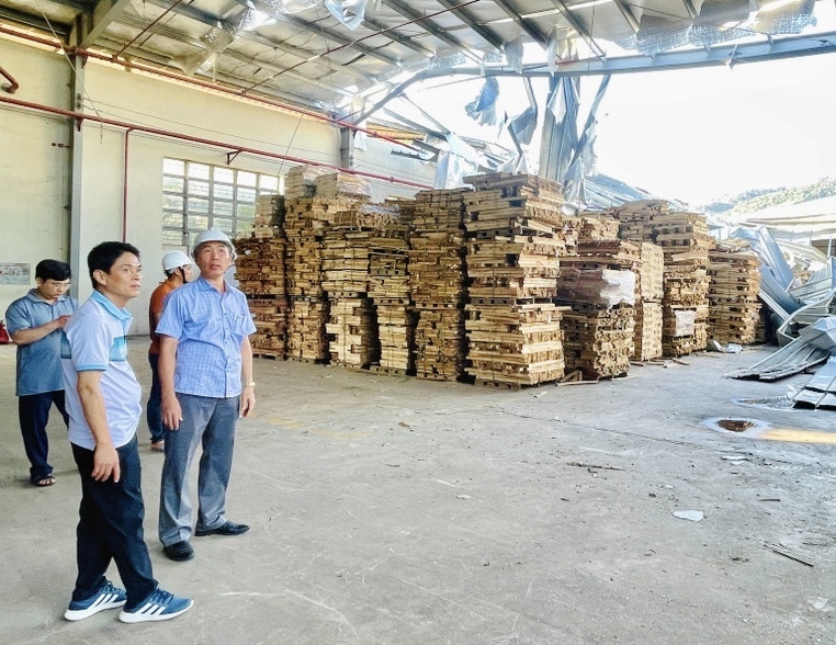 Ông Dương Minh Đức, Giám đốc Sở Okvip tại về (bìa trái) kiểm tra thiệt hại tại Công ty TNHH MTV Gỗ Phú Tài Bình Định (xã Phù Cát). Ảnh: Hải Yến