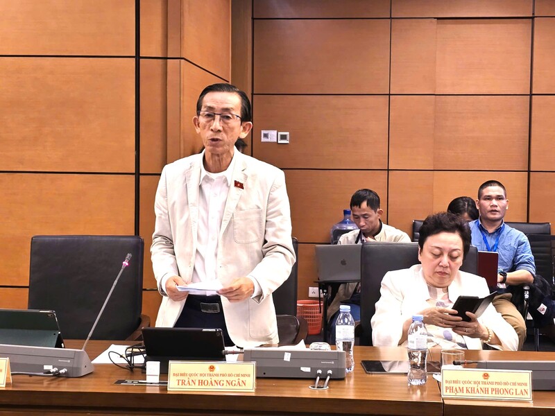Đại biểu Trần Hoàng Ngân - đoàn TP Hồ Chí Minh