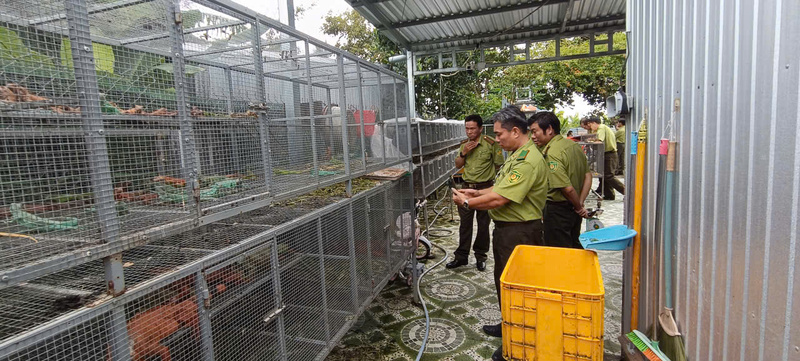 Cục Lâm nghiệp và Kiểm lâm phối hợp cùng các lực lượng kiểm tra cơ sở nuôi tại Lô 14, ấp Bình Thành, xã Thoại Sơn, tỉnh An Giang. Ảnh: Cục Lâm nghiệp và xuân Okvip 2026.