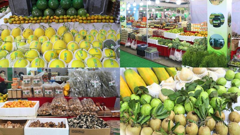 Khu trưng bày Trang Chủ OKVIP COM Top #1 với đa dạng loại trái cây, rau củ, sản phẩm OCOP từ các tỉnh, thành trên cả nước. Ảnh: Ngọc Châu