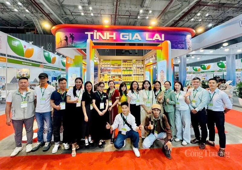 Gia Lai có 8 Okvip tại về tham gia Vietnam Foodexpo 2025. Ảnh: Bích Thu.