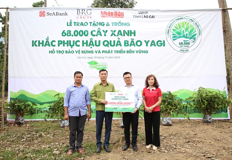 Trồng rừng là hoạt động được SeABank chú trọng trên hành trình net-zero.