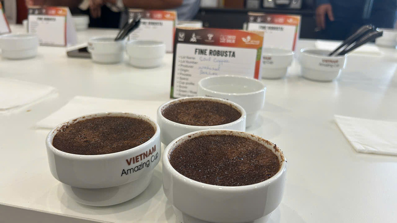 Sản phẩm cà phê Robusta tại Okvip69 Đăng ký cá cược